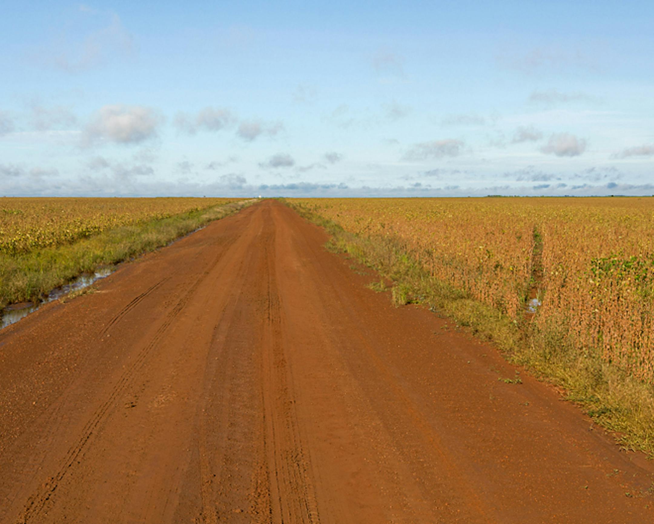 ColombiaAgro has built roads, both on the farms and for public access and use. Villages that were previously stranded during the rainy season are receiving daily bus services, thanks to roads maintained by ColombiaAgro. Pictured: road built by ColombiaAgro, serving the farms and the public. Credit: Cargill