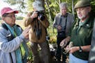 Frank Taylor gave guests a lesson in bird biology during a mist-netting and banding session in 2017 on the North Shore.