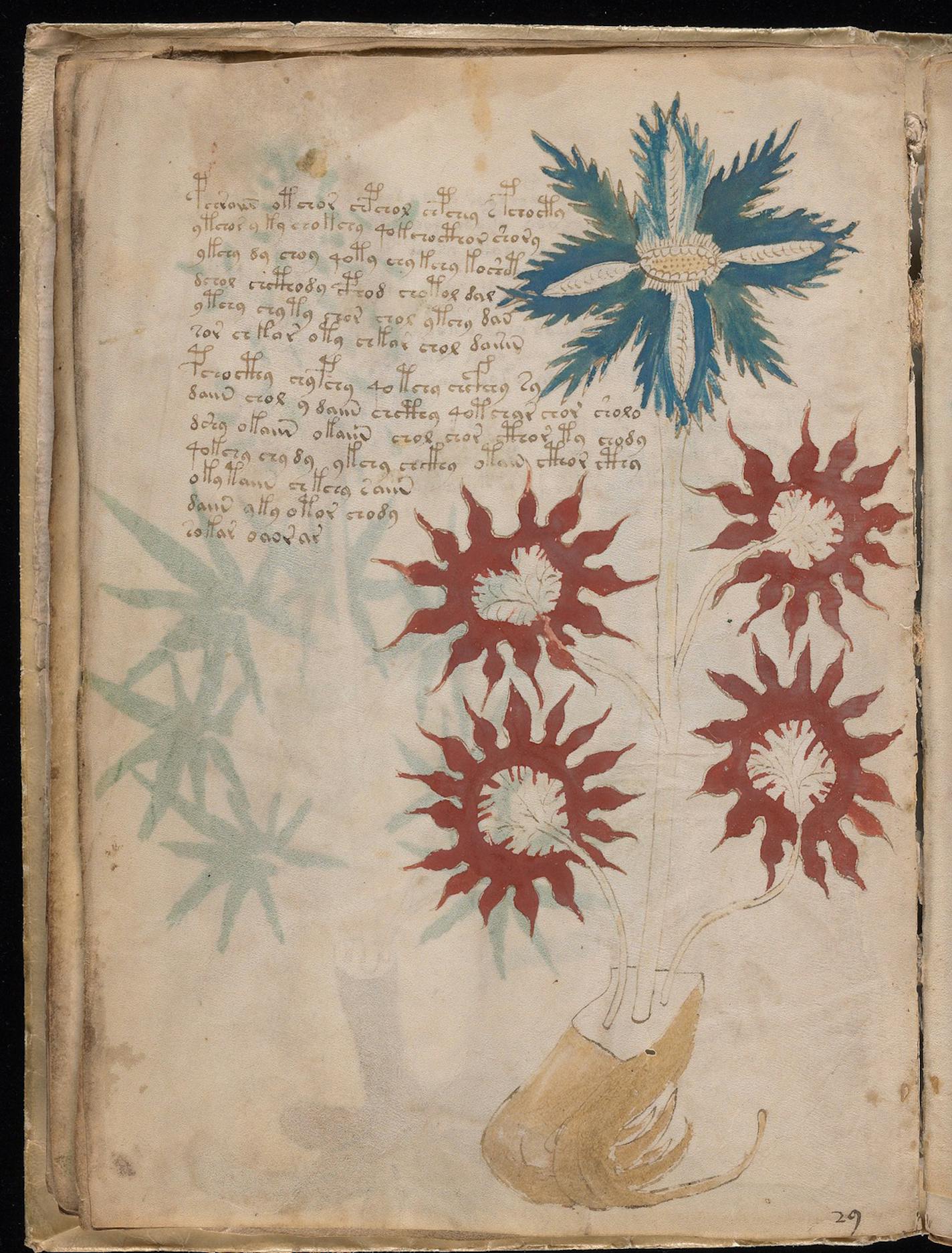 A page from the Voynich Manuscript.Yale University Press