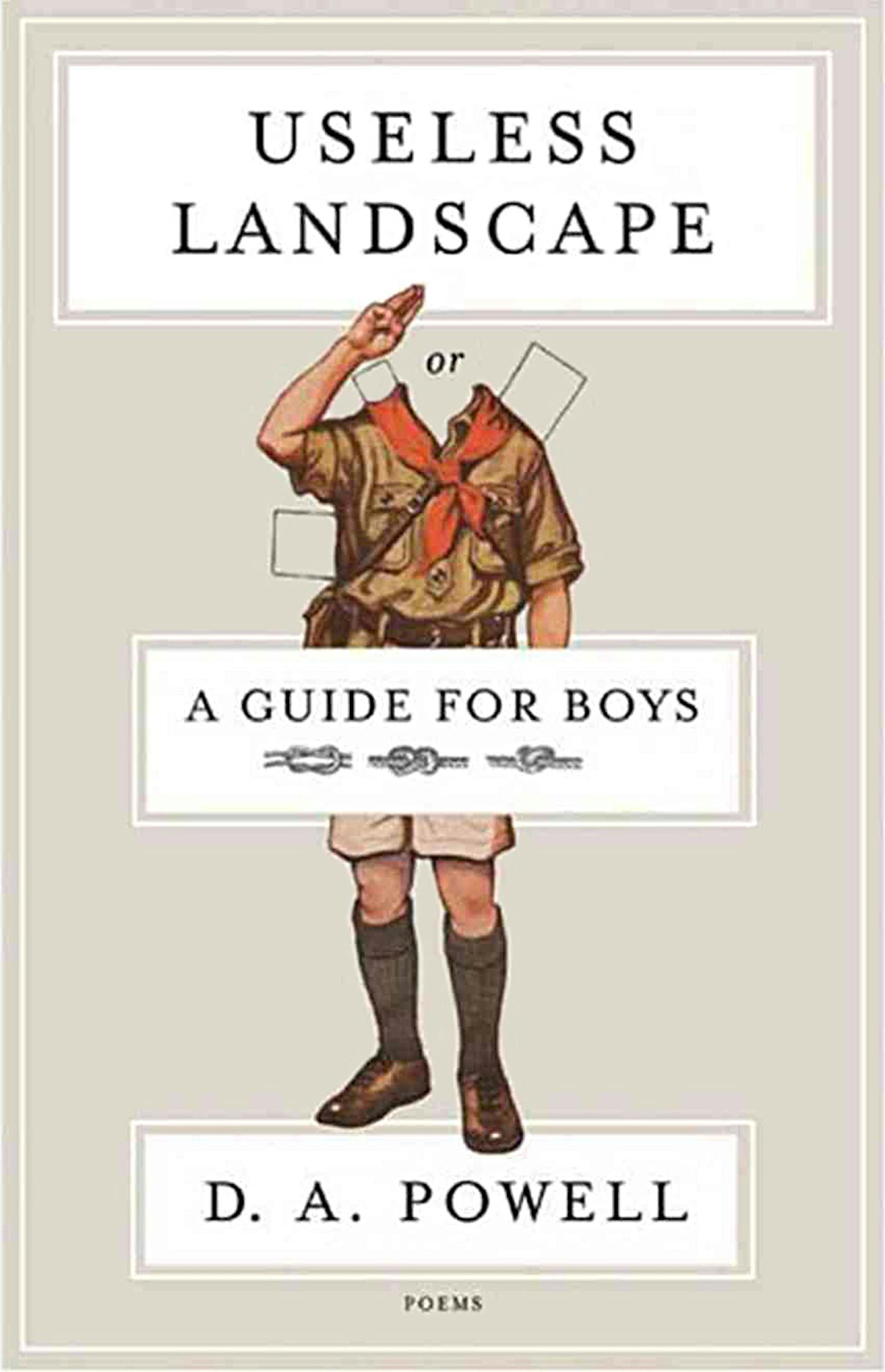 Book jacket: "Useless Landscape or A Guide for Boys" by D.A. Powell