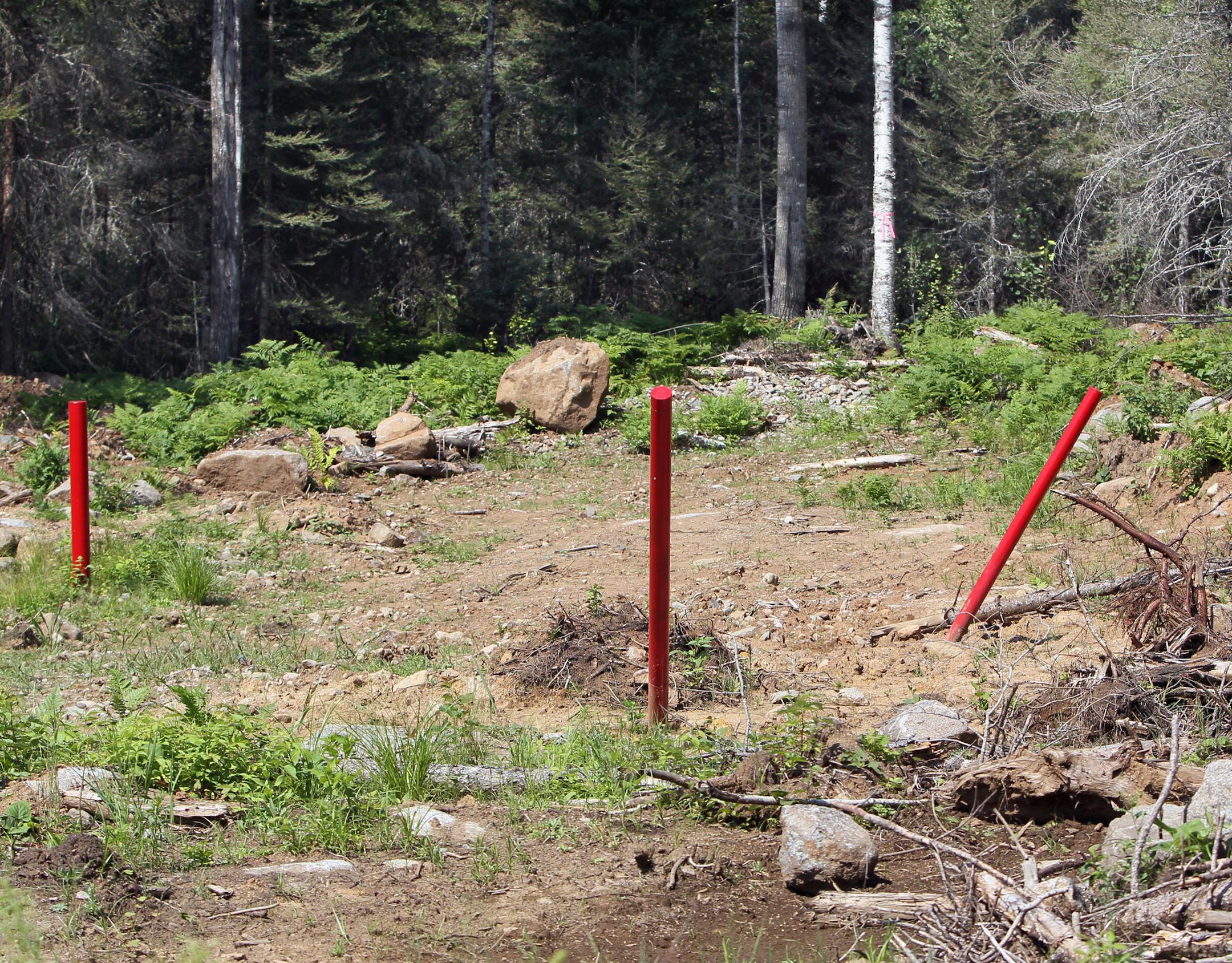 Four test drilling sites near the Kawishiwi River Monday, August 15, 2011, near Ely, Minn. (RENEE JONES SCHNEIDER/ reneejones@startribune.com)