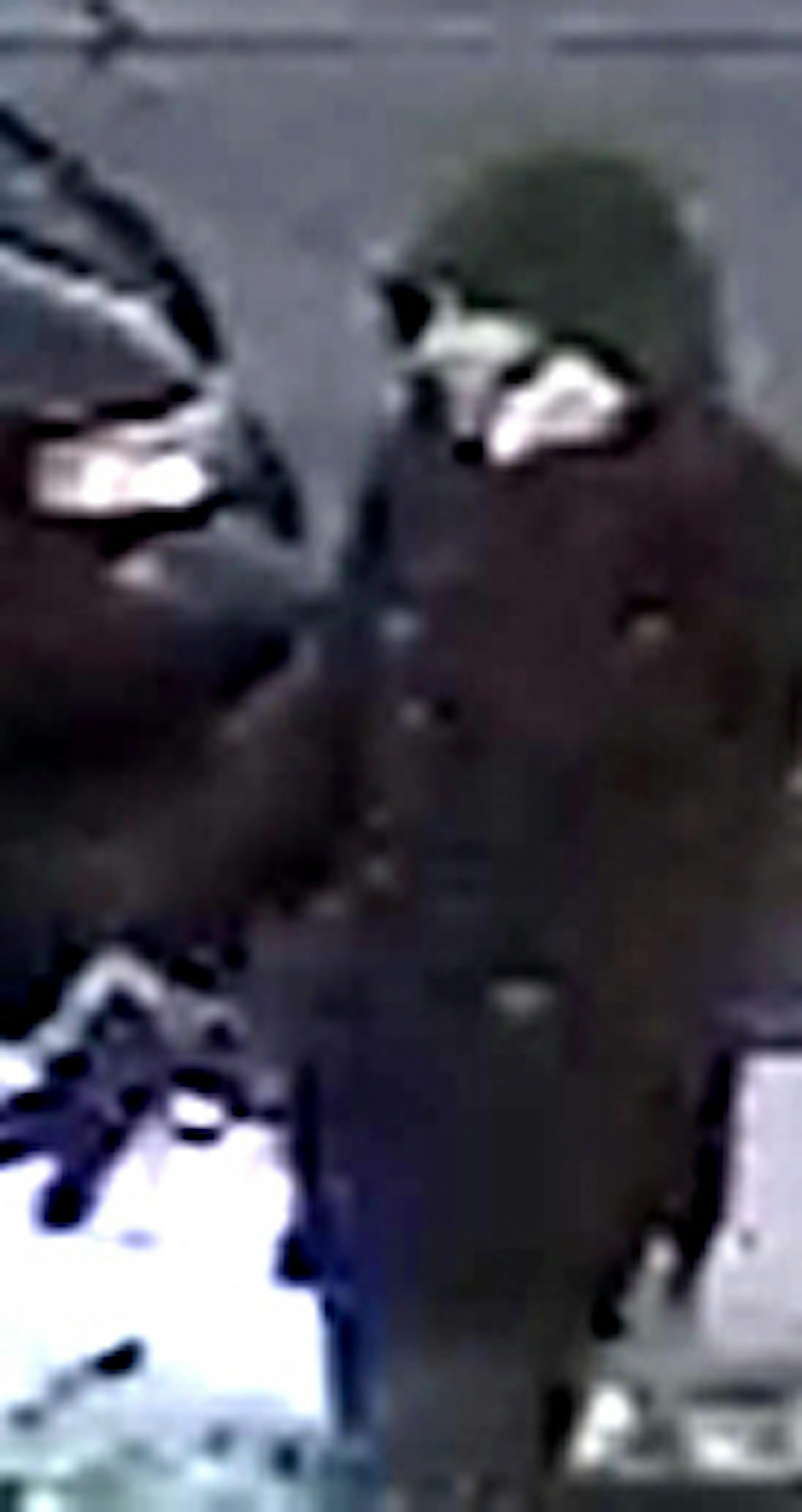 Update on the abduction case meeting released are photos that were taken from video. Suspect Information: Male White, Mid 30‚Äôs, Dark Jacket with horizontal stripe (possibly Gray or white) across the chest and the suspect was driving a dark green small or mid-size car 4 Door the location the young girl was taken to had 2 large dogs; one white and one black These were described as the suspect‚Äôs dogs.