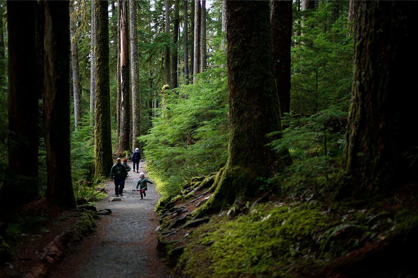 Olympic National Park, Washington.