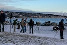 Interested parties gathered Jan. 3 at Canal Park to view and photograph an ivory gull, a Arctic bird rarely seen in the Lower 48 states.
