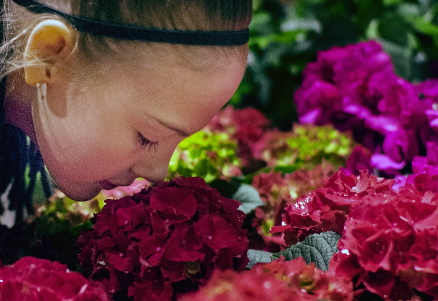 Maretta VanBeck(cq), 11, of Freeport checked out some many of the flowers at a very close distance.] Today was the opening day of Macy's "America the Beautiful Flower Show" in downtown Minneapolis which featured flowers and plants from different parts of the United States.Richard Tsong-Taatarii/rtsong-taatarii@startribune.com