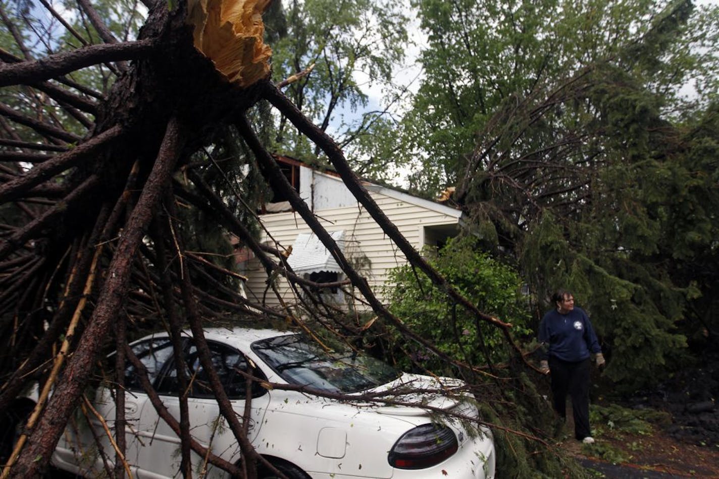 Tornado damage was extensive in the neighborhood near Clearview and Hughes in Columbia Heights. Two trees came down on Theresa Pyka's home and two vehicles. "I'm alive, what can you do?" she said.