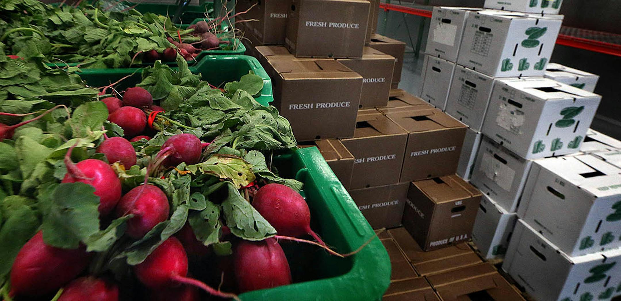 Large coolers keep produce fresh at The Good Acre in Falcon Heights.