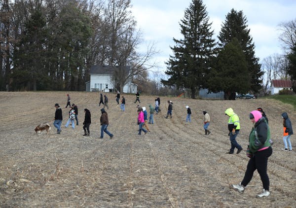 Volunteers searched a field along 15th Av. near Hwy. 25 just north of Barron, Wis., Tuesday.