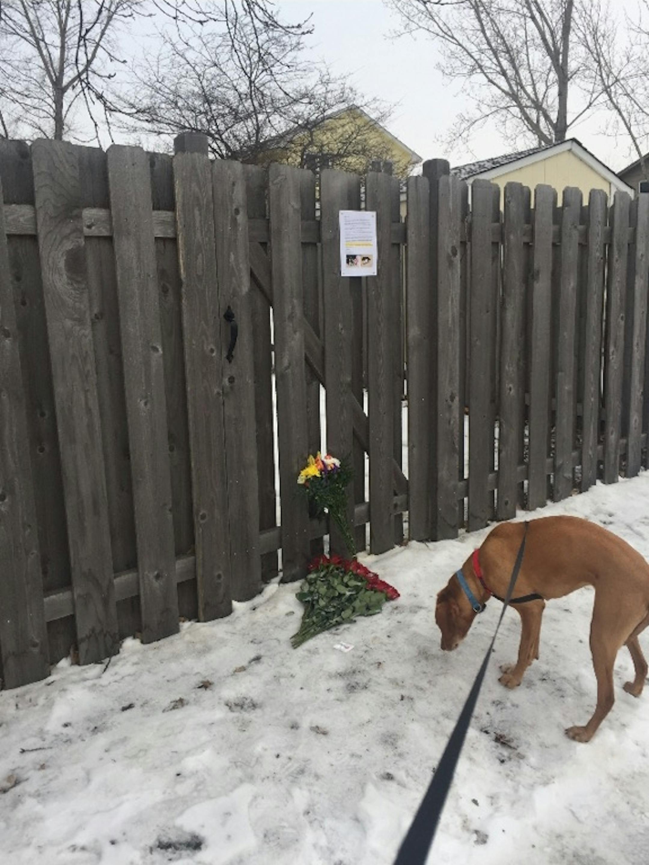 A memorial near where the Dockens' dog was shot.
