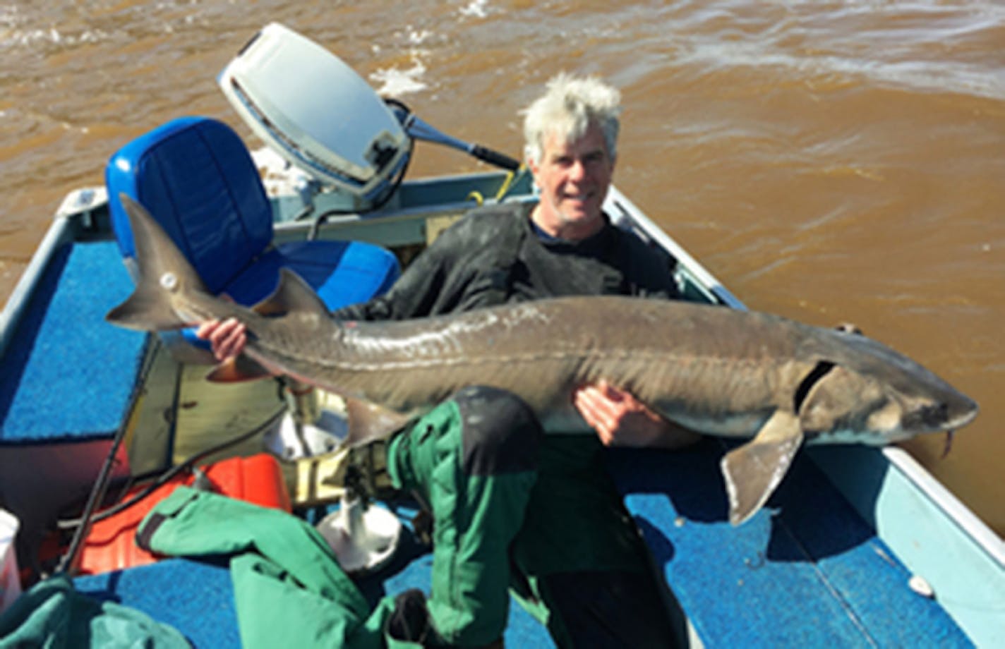 Jack Burke of Stillwater set a new Minnesota sturgeon catch-and-release record when he boated this 73-inch sturgeon in the Rainy River on May 4.