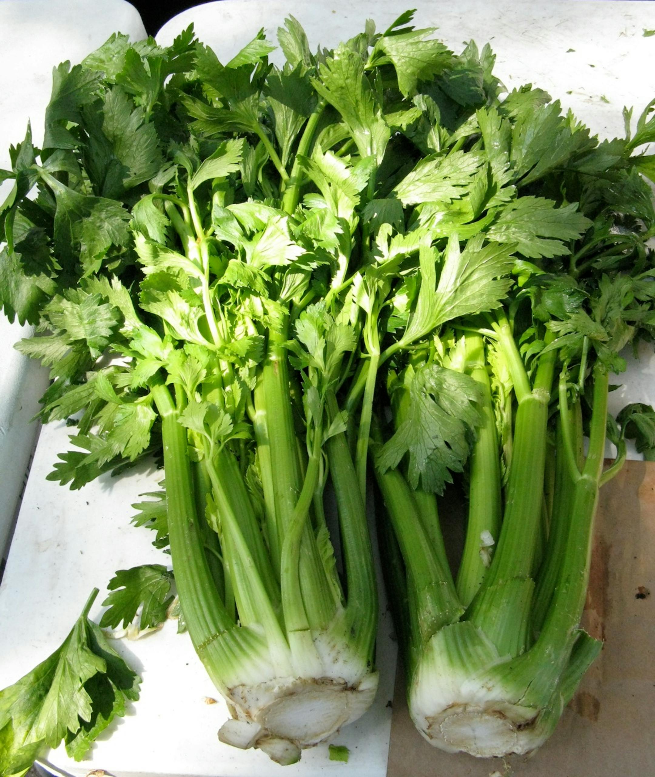 Urban Farms sells at the City of White Bear Lake Farmers Market, Washington Av. between 3rd and 4th Sts., whitebearlake.org, 8 a.m. to noon Fridays. For a complete list of Twin Cities metro area farmers markets, go to startribune.com/taste.