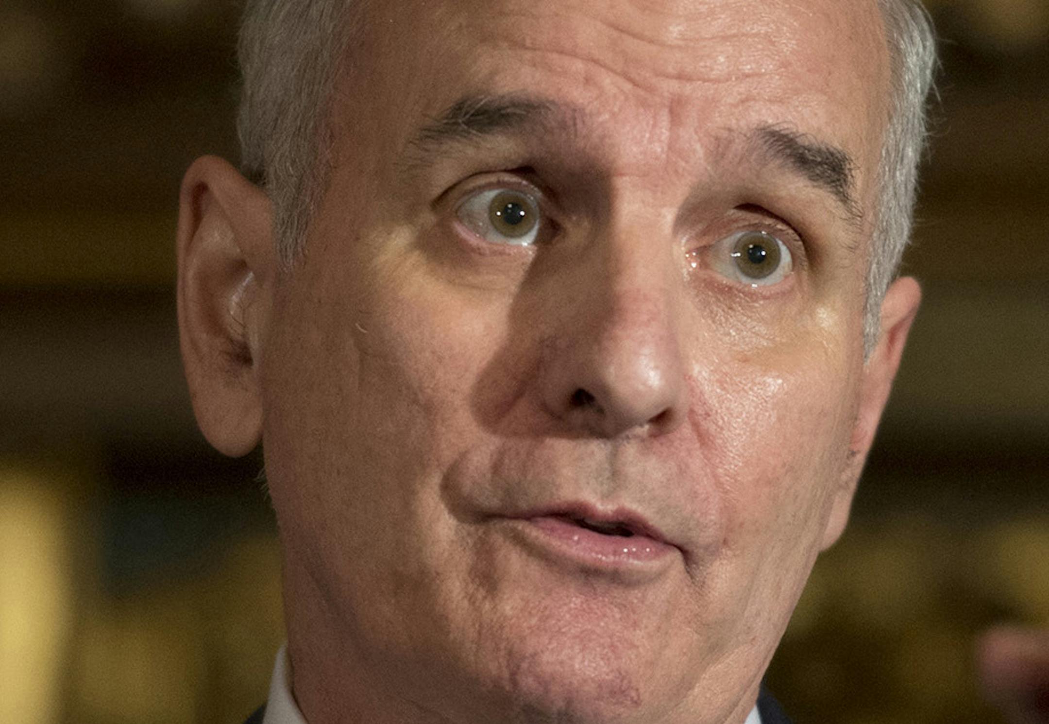 Governor Mark Dayton