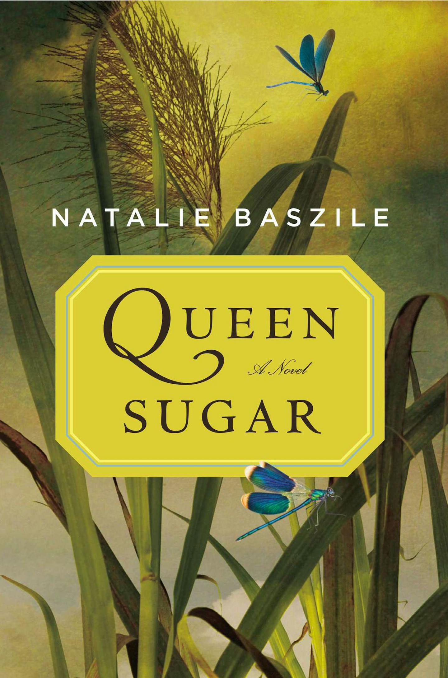 Queen Sugar, by Natalie Baszile