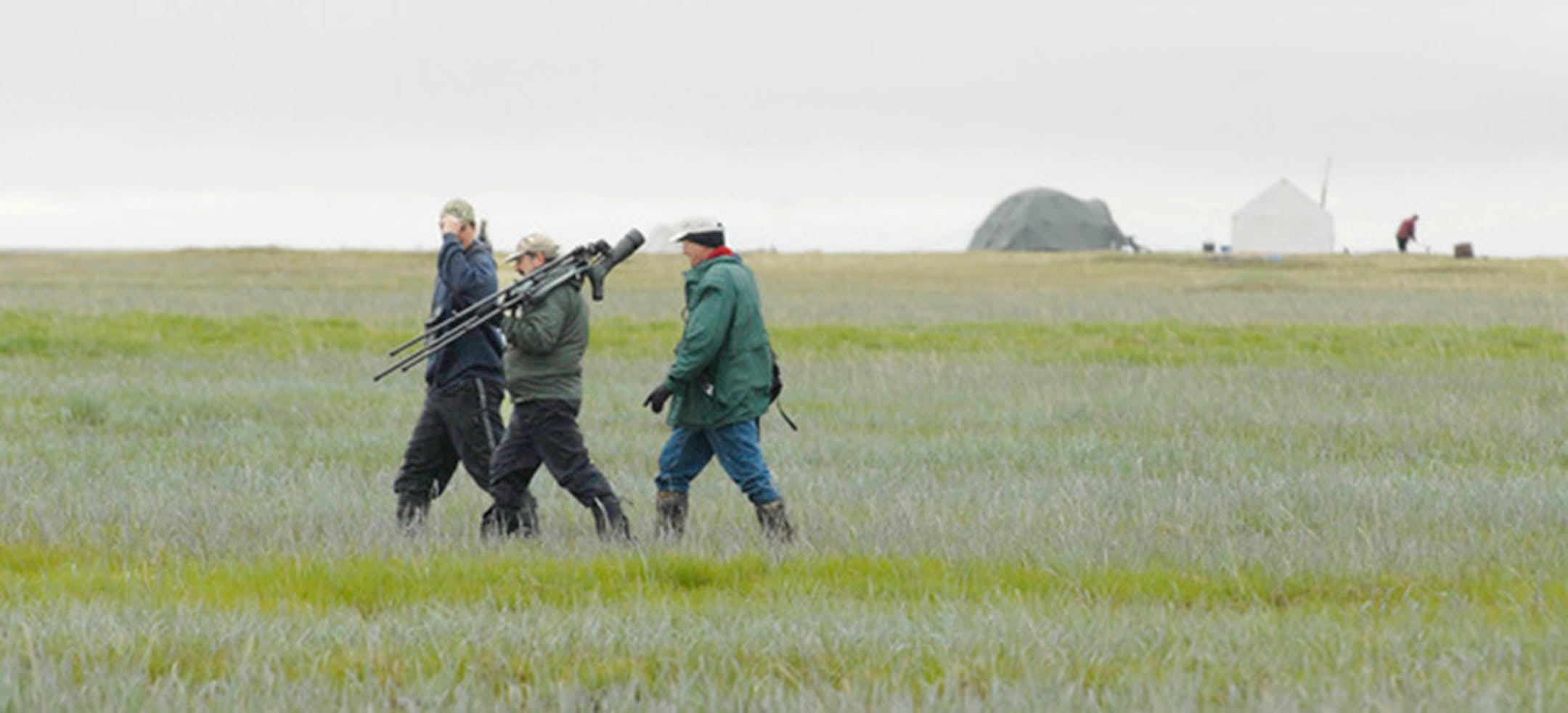 Birders on tundra along the Ninglikfak river in Alaska, a short flight out of Bethel. Our camp is in the background.
photo by Jim Williams
