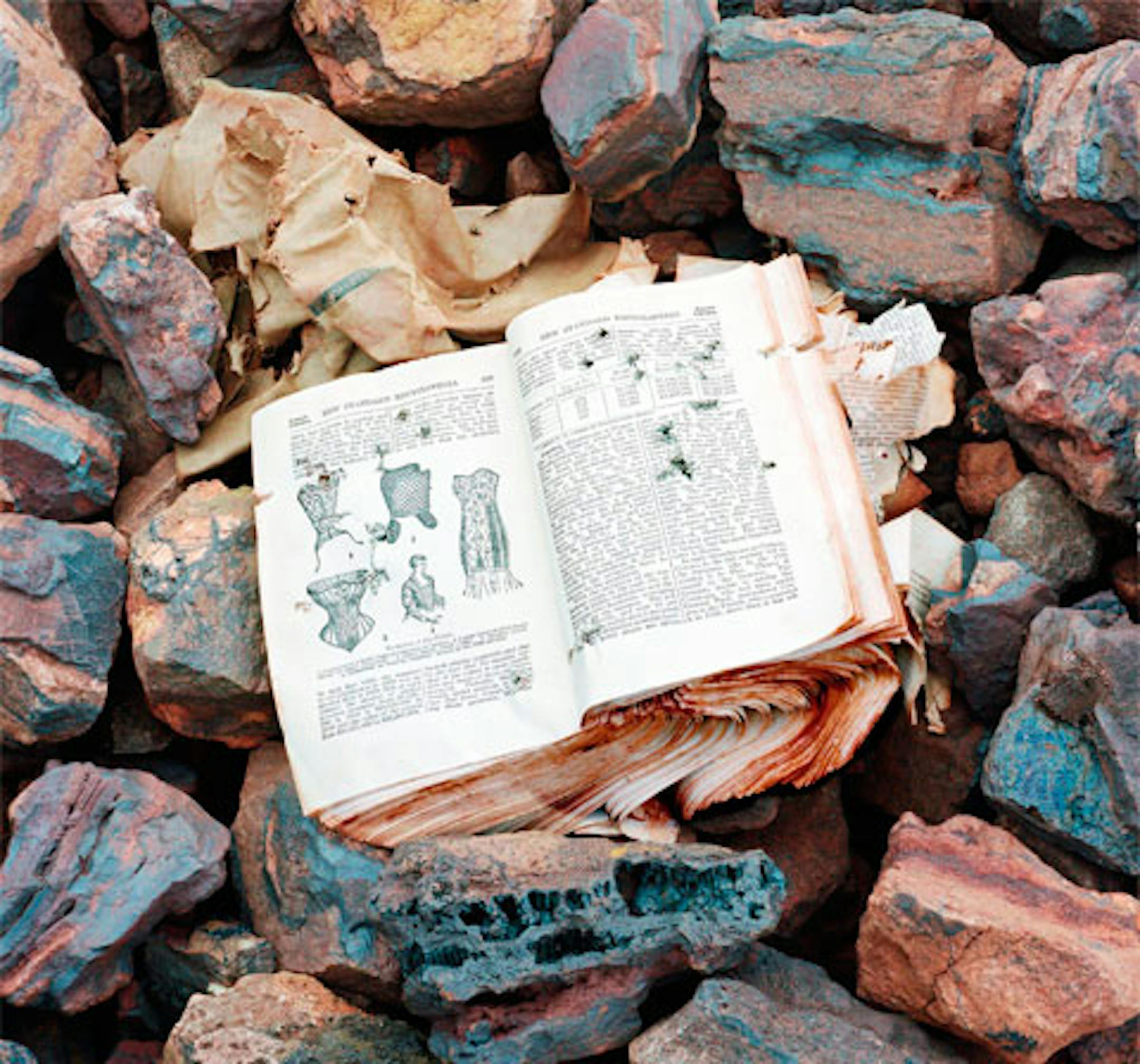 Artwork by Vance Gellert