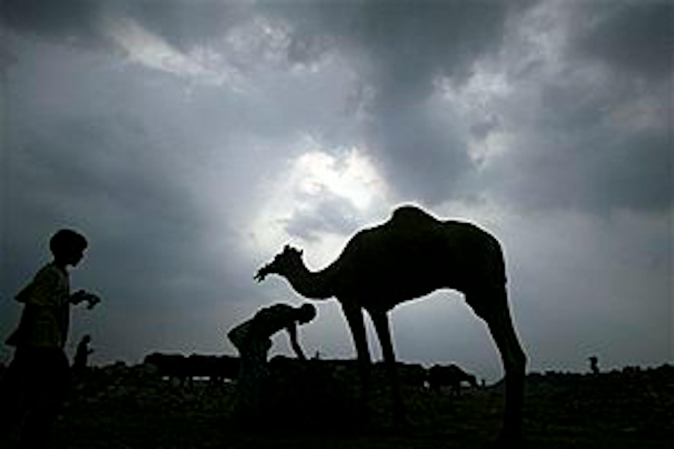 A man feeds a camel as monsoon clouds hover over in Jammu, India, Sunday, July 26, 2009. The monsoon season in India begins in June and ends in September. (AP Photo/Channi Anand)