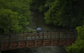 A light rain early Tuesday evening didn't deter an explorer in Father Hennepin Bluff Park.