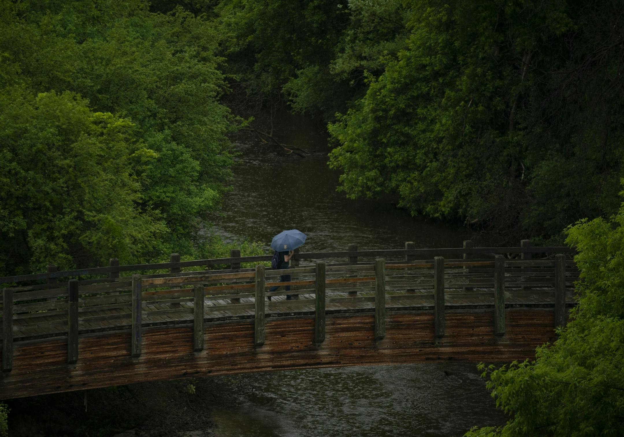 A light rain early Tuesday evening didn't deter an explorer in Father Hennepin Bluff Park.