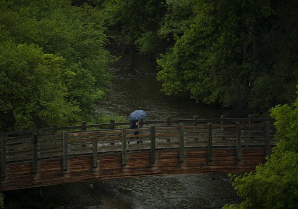 A light rain early Tuesday evening didn't deter an explorer in Father Hennepin Bluff Park.