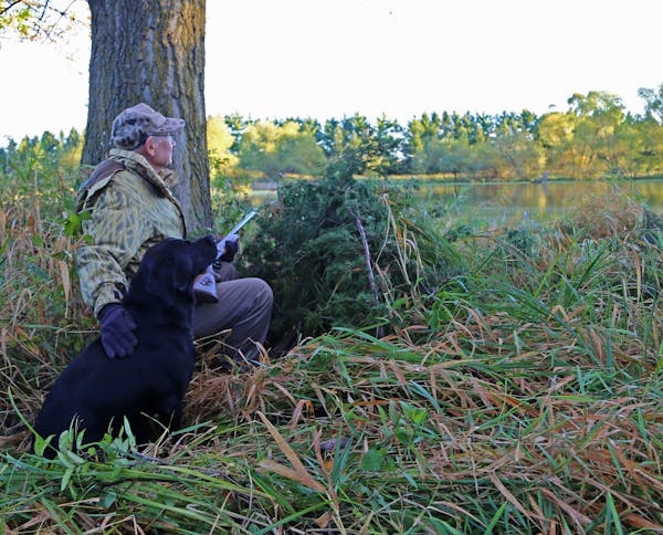 Arnold Krueger and a pal, Jet, looked over a pond on his property about 6 miles from Le Center on Saturday monring, opening day of the Minnesota duck 