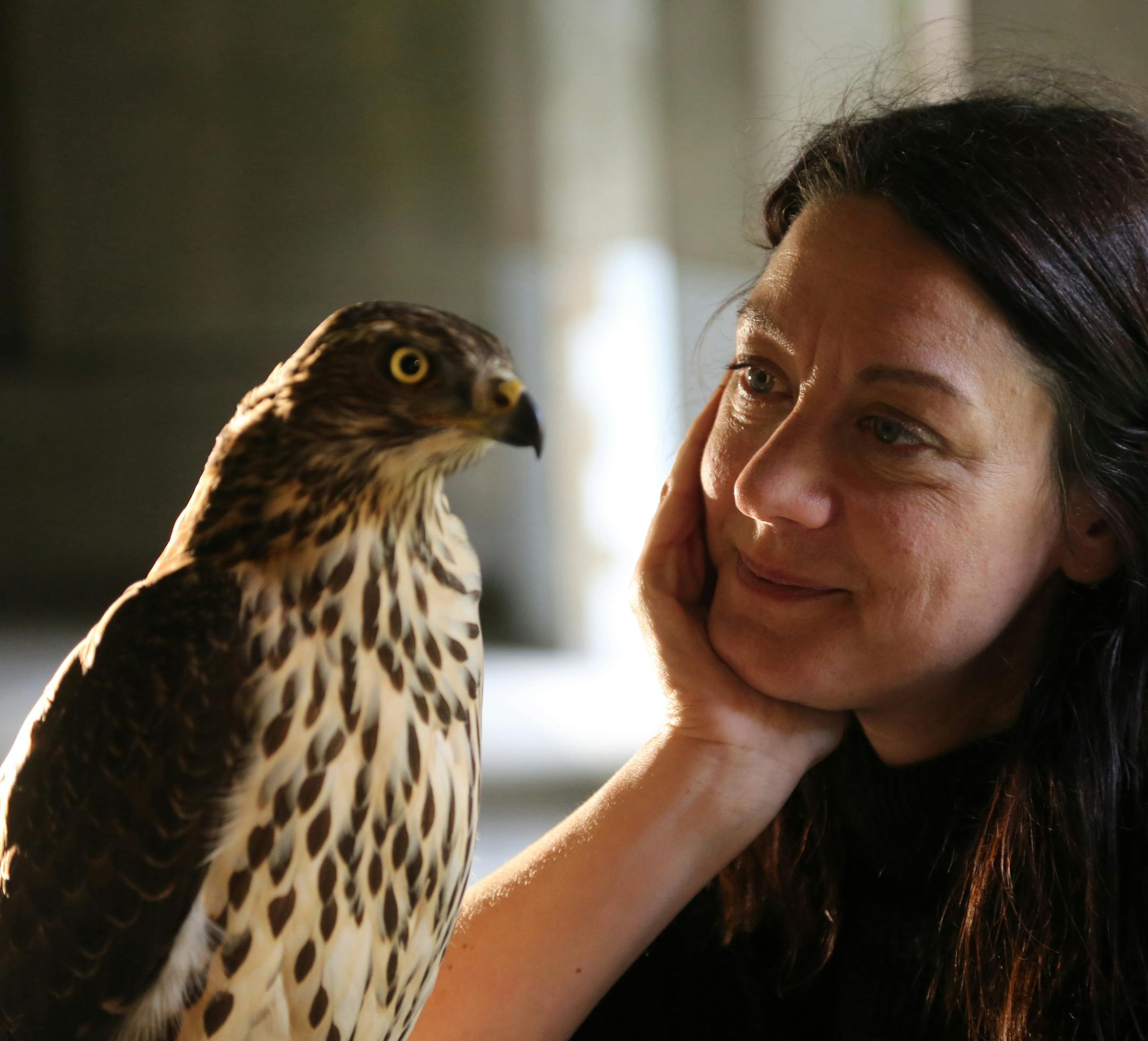 Picture shows: Helen Macdonald with goshawk at Jesus College Cambridge
credit: Mike Birkhead Associates