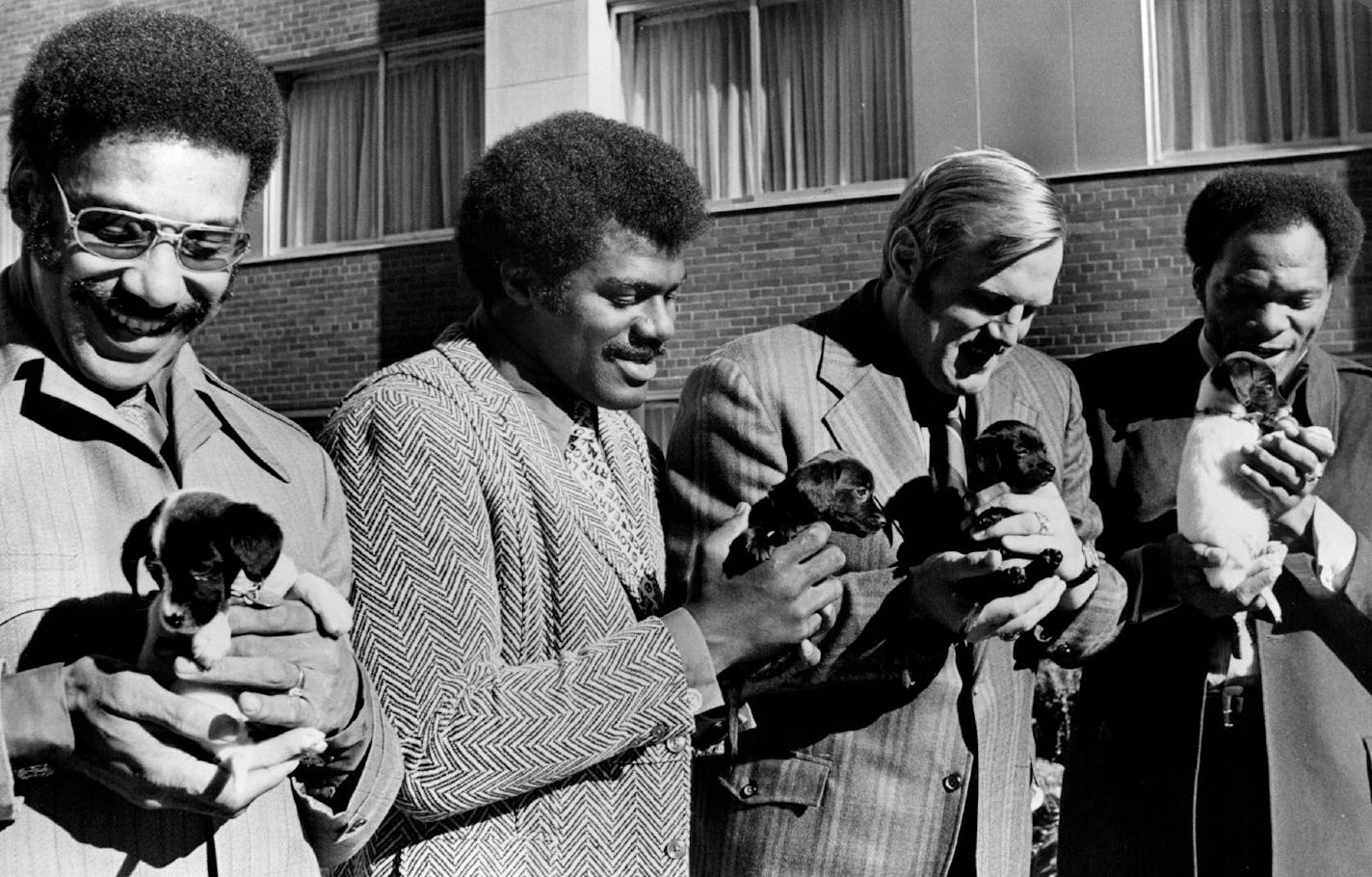 October 12, 1971 The Minnesota Vikings 's famed front four,with a gentleness they never show on the football field,help kick off the first annual Animal Human Society of Hennepin County tag days which will be held October 21- 22. At that time 500 volunteer camp Fire Girls will give "Be a voice for those who cannot speak" tags to any contributors. From left,with Humane Society pups, are Jim Marshall,Alan Page,Gary Larsen and Carl Eller. Russell Bull, Minneapolis Star Tribune