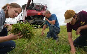 Anna teeter, a novel oil seeds program manager with Cargill, farmer Paul Novotny, and Matt Leavitt, a perennial grains and winter annuals agronomy spe