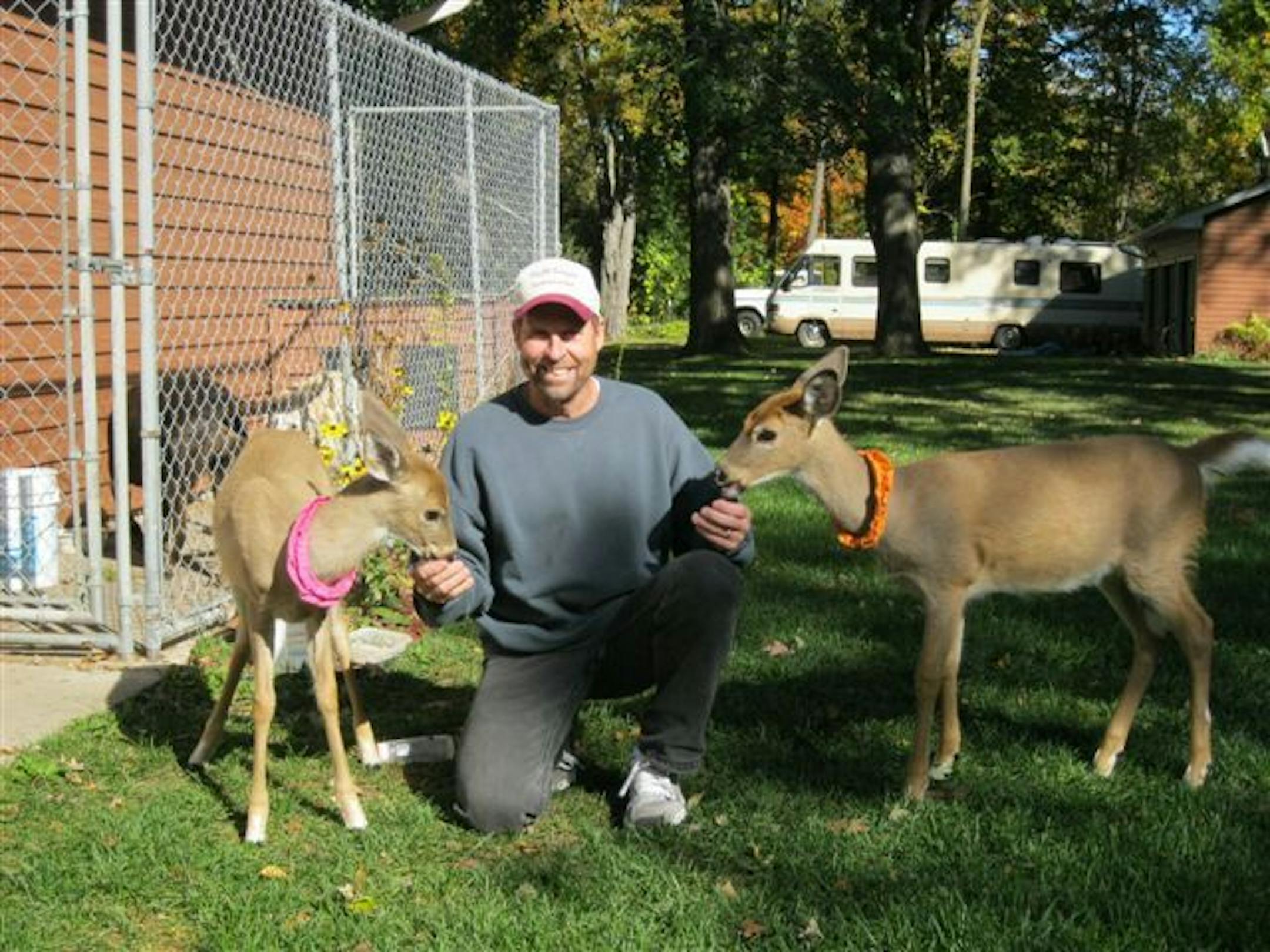 On his ten-acre property in Forest Lake, Jeff Carpenter provided this picture of the two deer killed on his property. They are about four months here. The family had grown fond of the animals and provided them with food in a feeder.The Minnesota Department of Natural Resources blames Jeff and LeeAnn Carpenter for taking in the animals without notifying state or local officials, and affixing them with identifying collars. The identifying collars acted as a signal that the animals could not be reg