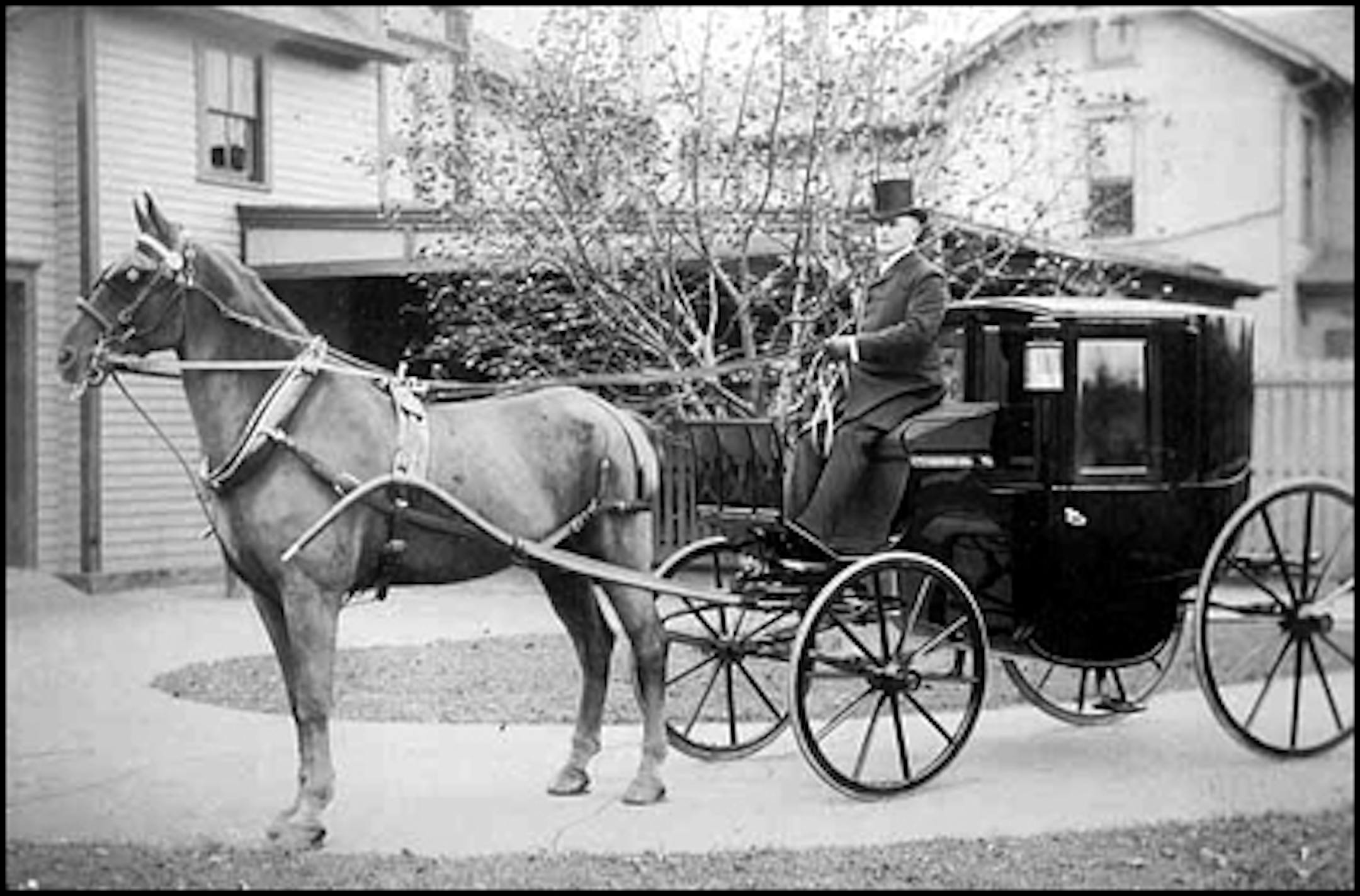 Horse and carriage, 1898