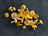 Chanterelles and other foraged goodies take center stage at the Northern Foragers Dinner.