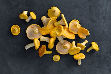 Chanterelles and other foraged goodies take center stage at the Northern Foragers Dinner.