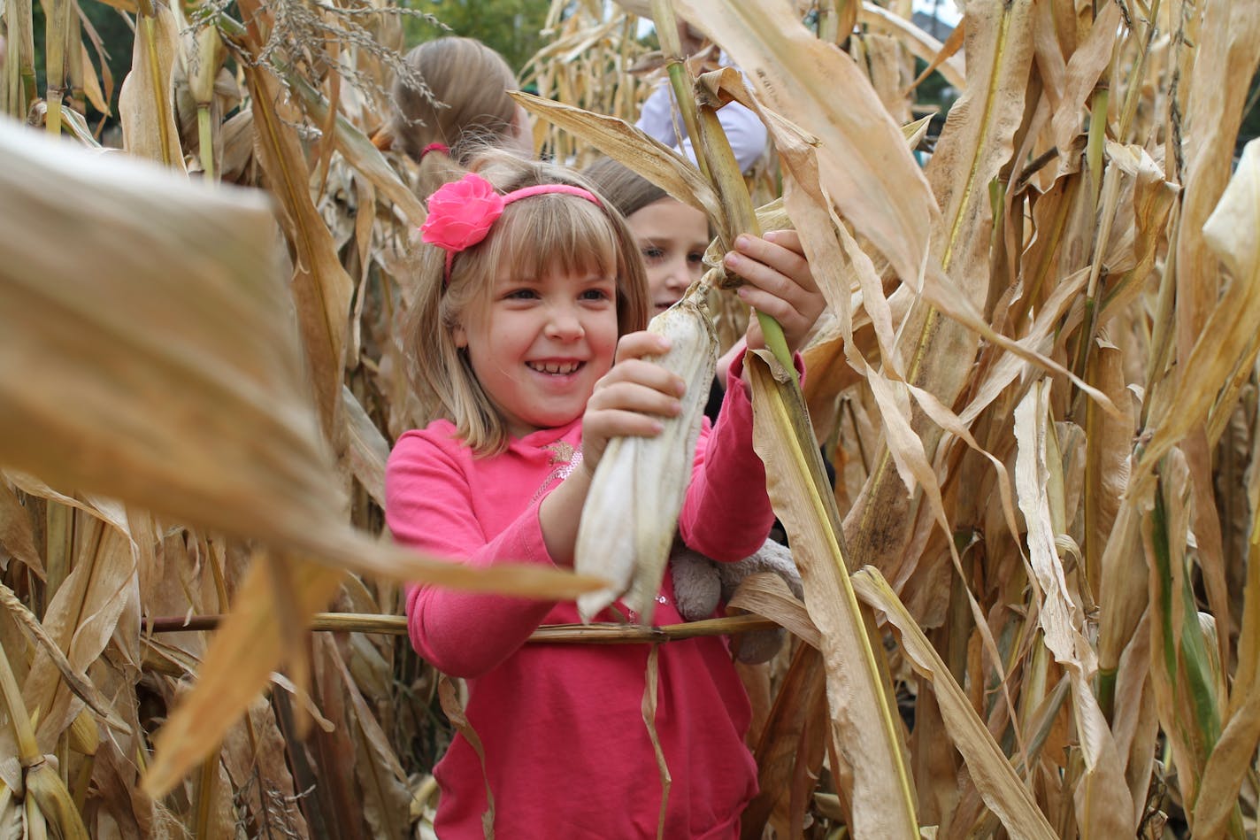 Kids learn about agriculture while participating in harvest time activities.