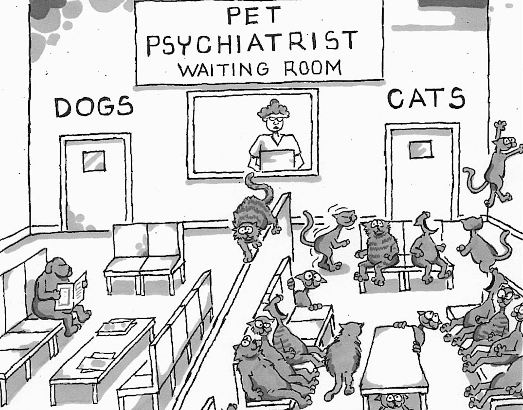 Off My Meds by Leslie Taha