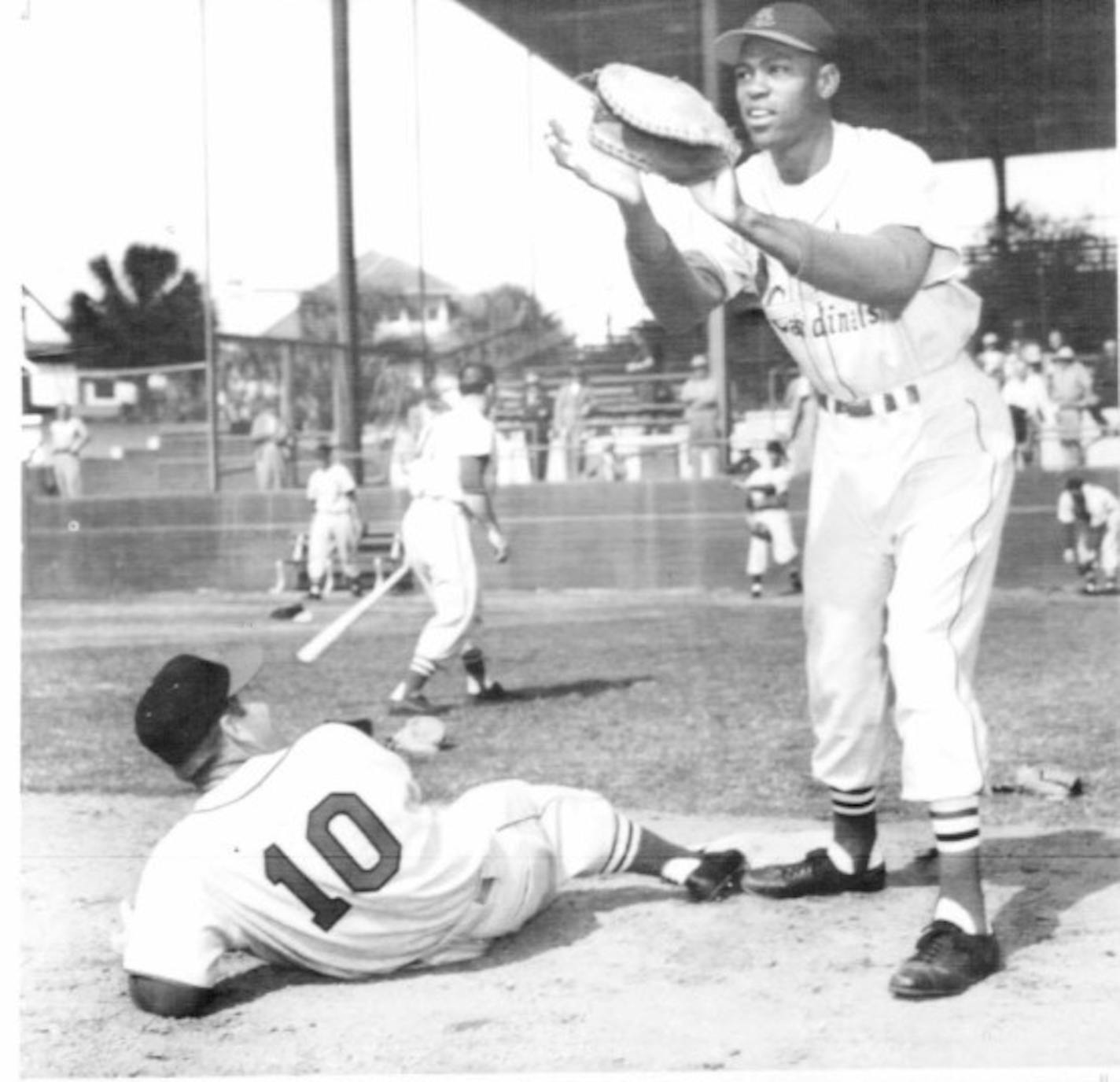 First negro ever to report for work with the St. Louis Cardinals, Tom Alston, goes through a workout at Al Lang Field in 1954