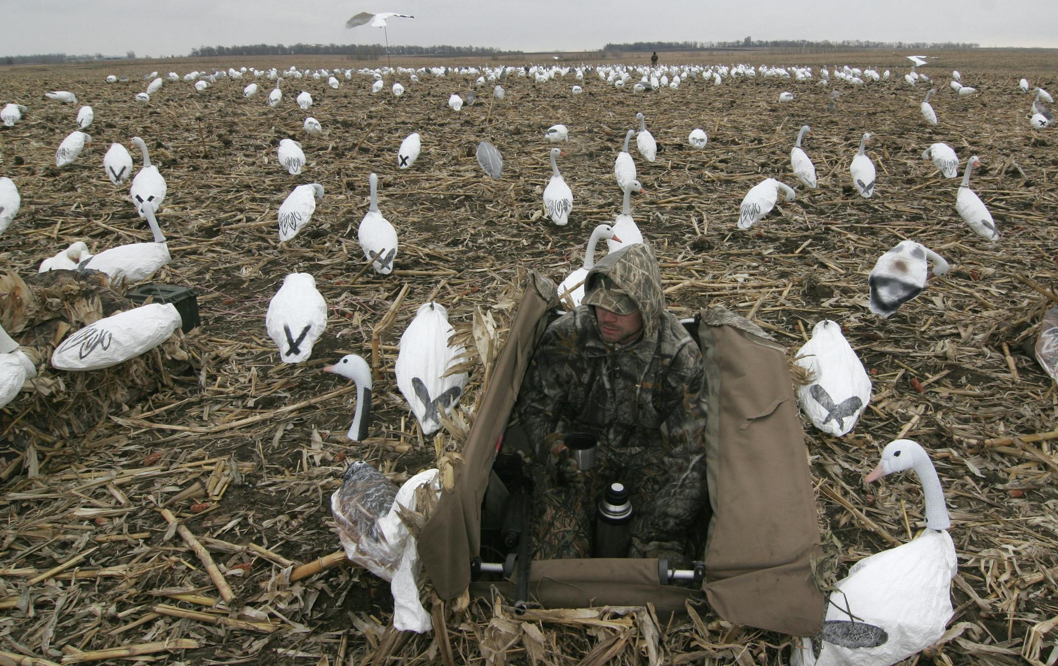 Ryan Sauter, 27, of Lake Preston, S.D., took a coffee break during a morning snow goose hunt.
