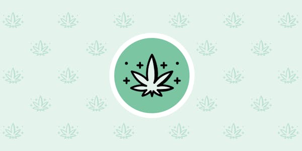 Subscribe to Nuggets, our weekly newsletter about legal cannabis