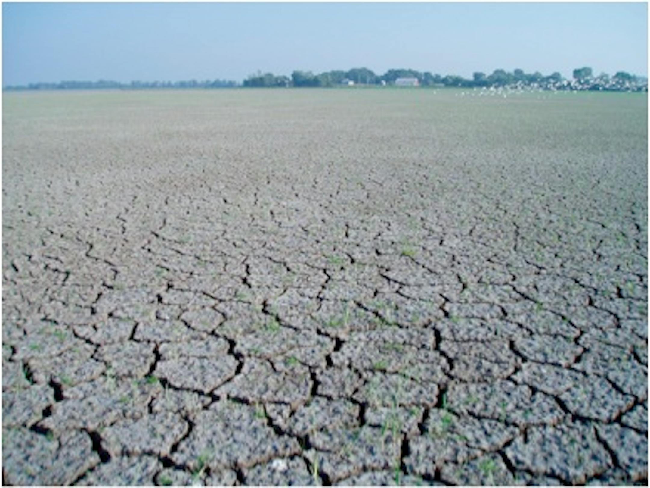 Lake Maria after it was drained.