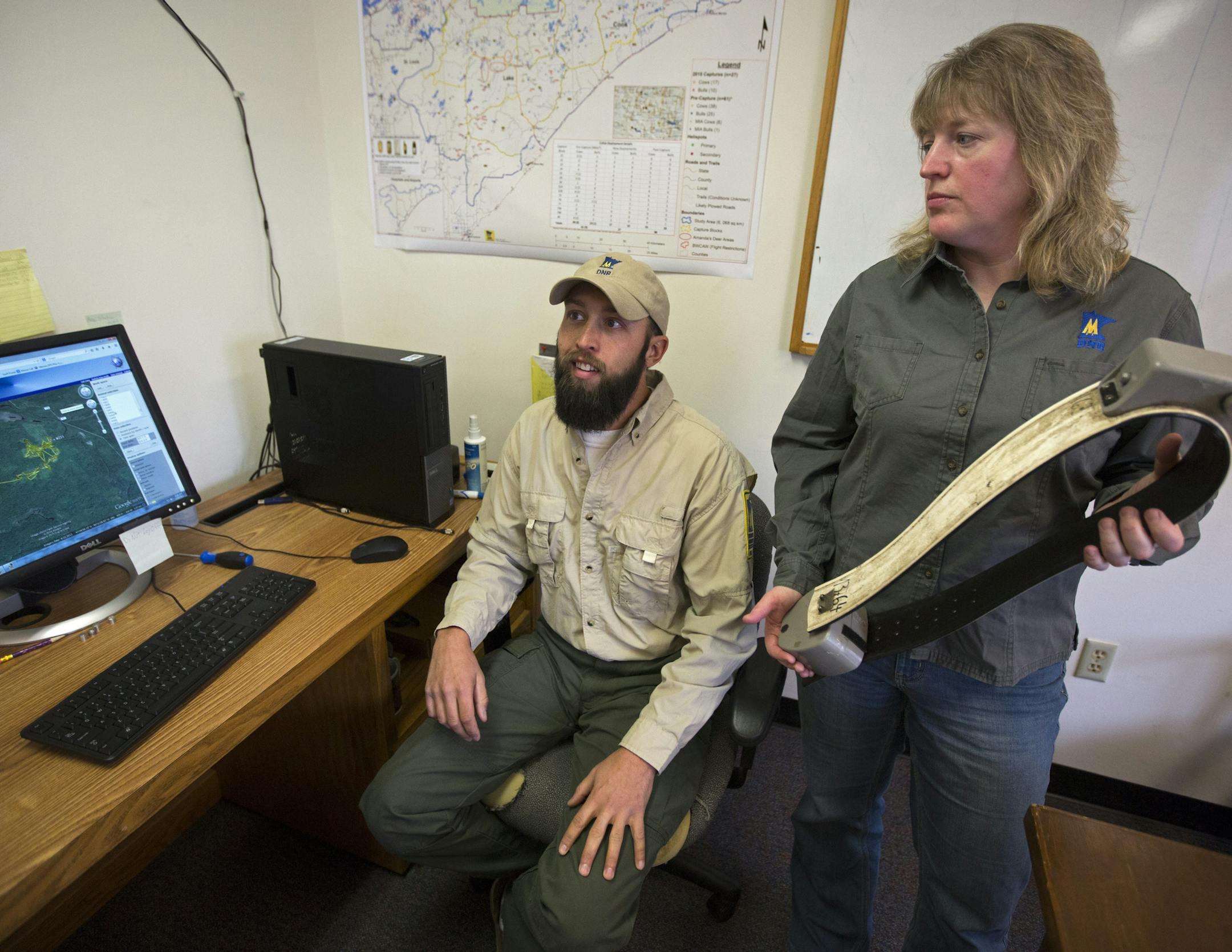 Michelle Carstensen, DNR wildlife health program supervisor (right) and Erik Hildebrand, DNR wildlife health specialist, can monitor the location of all collared moose from their office in Forest Lake. Carstensen holds a moose collar with transmitter. ] Researchers at the DNR are desperately trying to get to the bottom of what is killing Minnesota's moose, and they are going to great lengths to recover the bodies of their research subjects before predators scavenge the evidence. Brian.Peterson@s