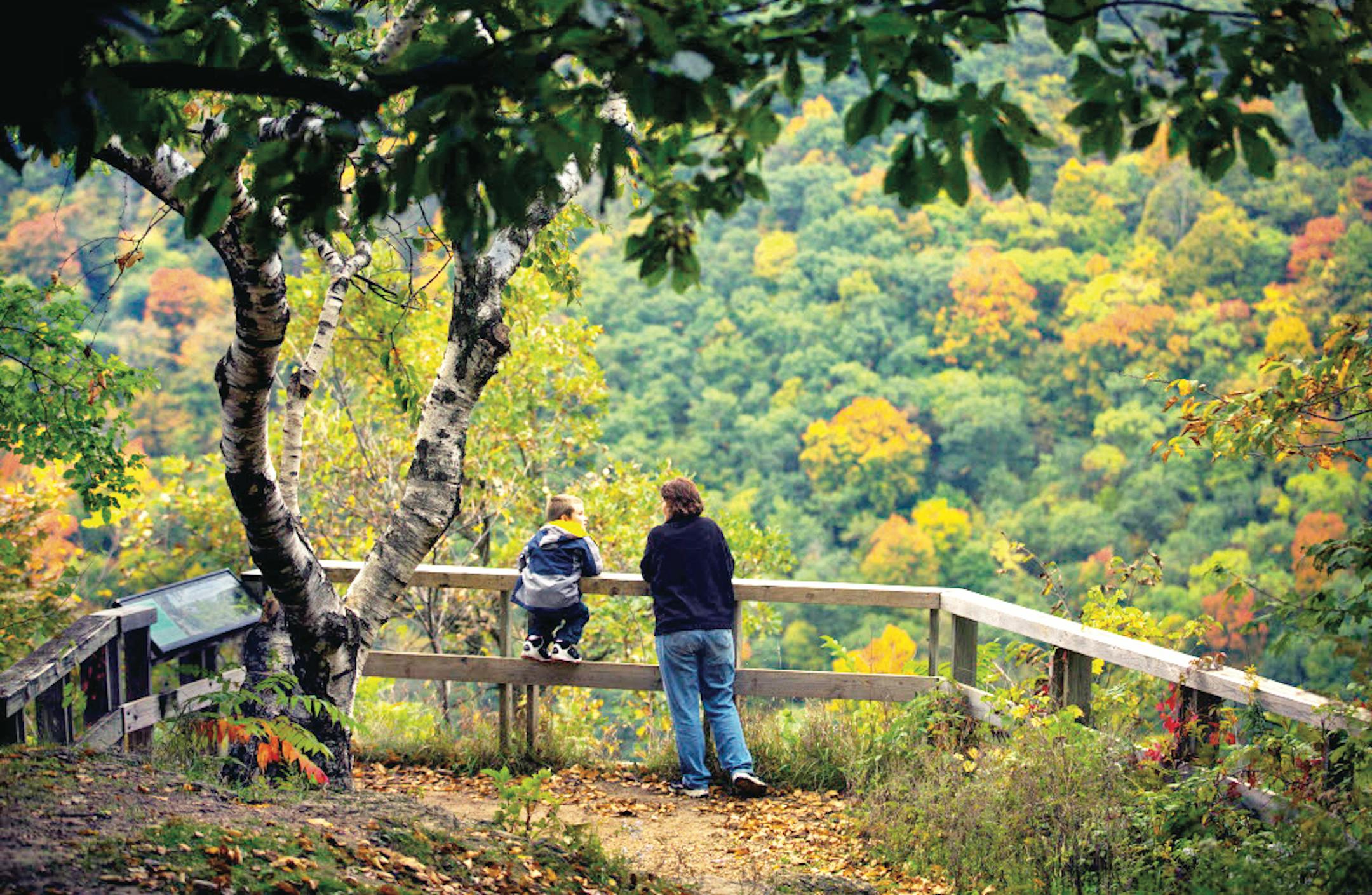 Visits to Minnesota state parks is up so far this year, according to the DNR. Star Tribune file photo by Brian Peterson ORG XMIT: MIN1508191903292209 ORG XMIT: MIN1509181514160259
