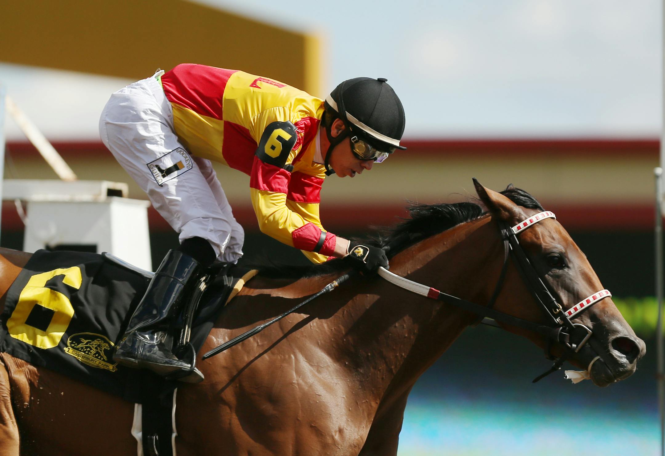 Honey's Sox Appeal and jockey Geovanni Franco cruised to a commanding first place finish in the Bella Notte Minnesota Distaff Sprint Championship race. ] Mark Vancleave - mark.vancleave@startribune.com * The Minnesota Festival of Champions took place Sunday, Aug. 21, 2016 at Canterbury Park in Shakopee. The races featured Minnesota-bred horses.