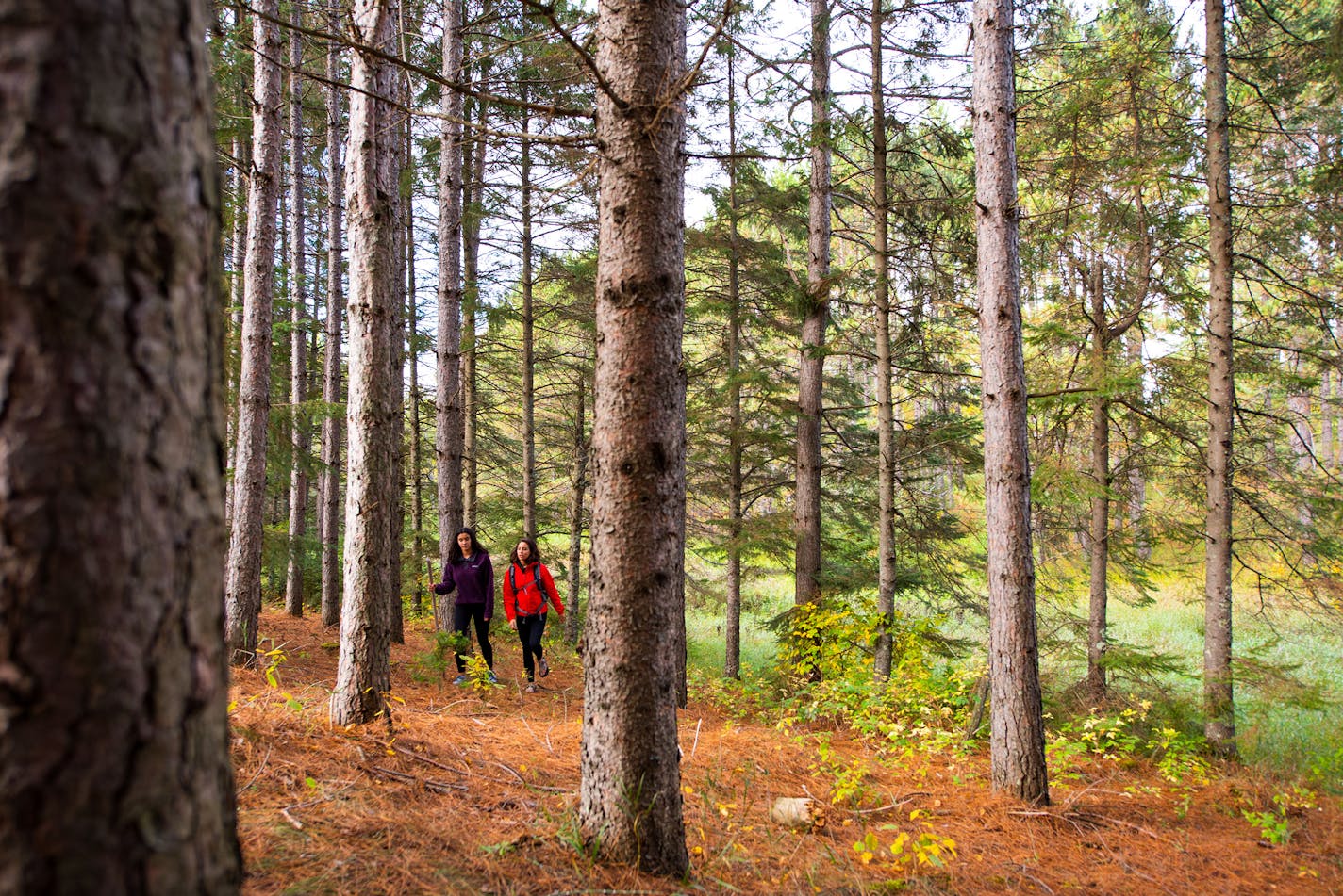 People hike on land that is part of the Minnesota Heritage Forest, thousands of acres recently purchased by the Conservation Fund.