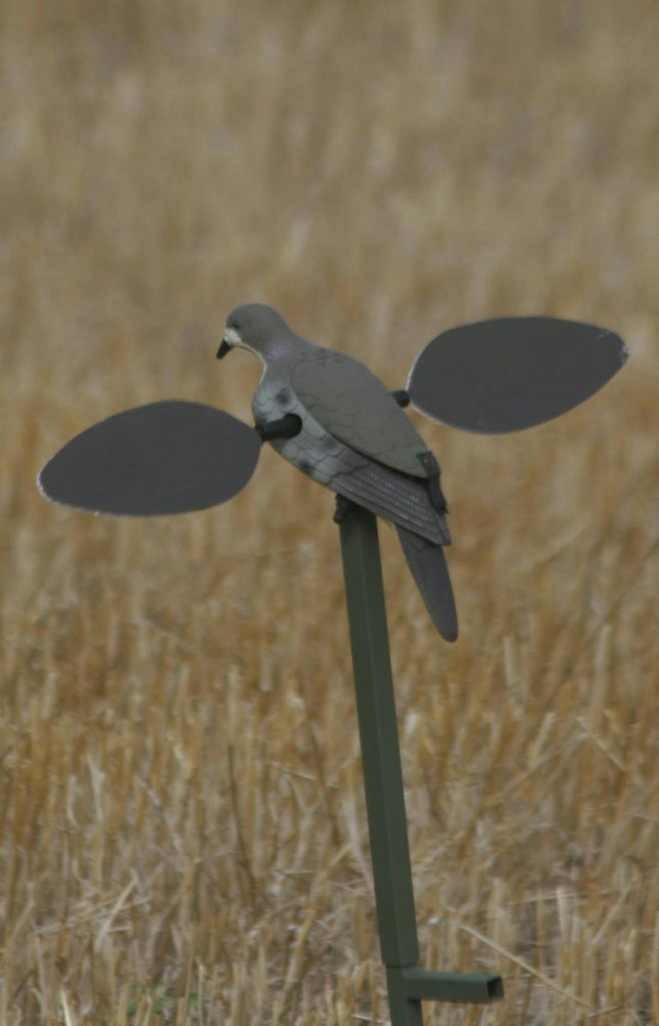 Dove hunters say spinning winged dove docoys work, helping attract doves to shotgun range. The battery-powered decoys are patterned after spinning winged duck decoys.