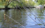 Rods and lures hung over the side of a pontoon during a leisurely cruise after the completion of the 70th Minnesota Governor�s Fishing Opener on the