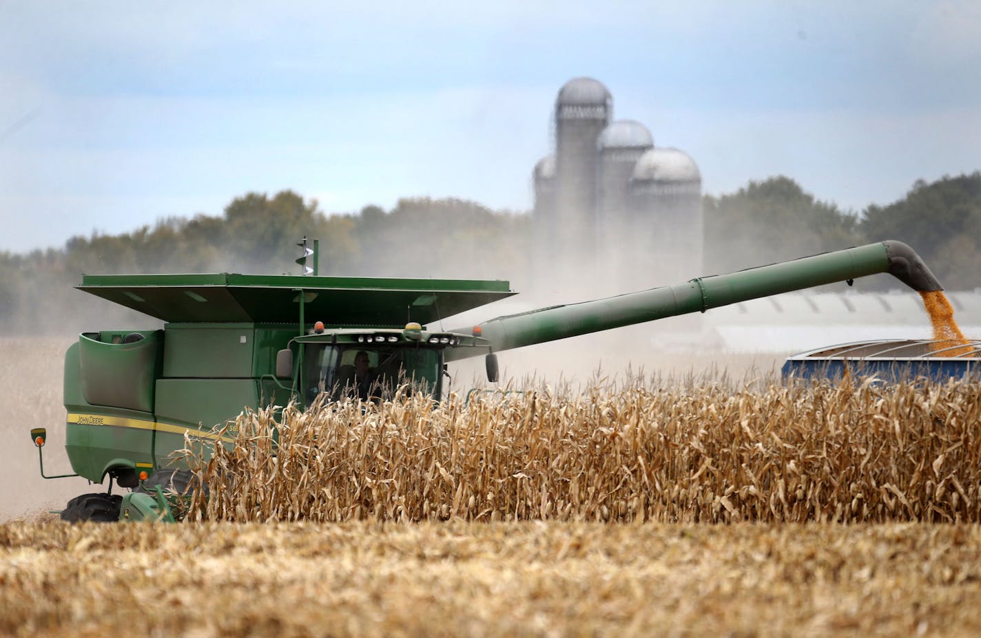 Members of the Peterson family, who operate Far-Gaze Farms, worked harvesting corn on one of their fields, this one 142 acres, Friday, Oct. 9, 2015,near Northfield, MN.](DAVID JOLES/STARTRIBUNE)djoles@startribune.com Crop estimates to be released Friday may show that Minnesota corn and soybean farmers are forecast to produce record crops in 2015, due largely to early planting and adequate summer rain. The healthy crops won't necessarily make farmers rich, since crop prices remain stubbornly low.