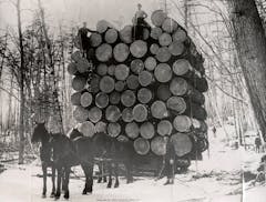 Four horses prepared to pull a load of logs piled 21 feet high in Kanabec County in 1892.  
