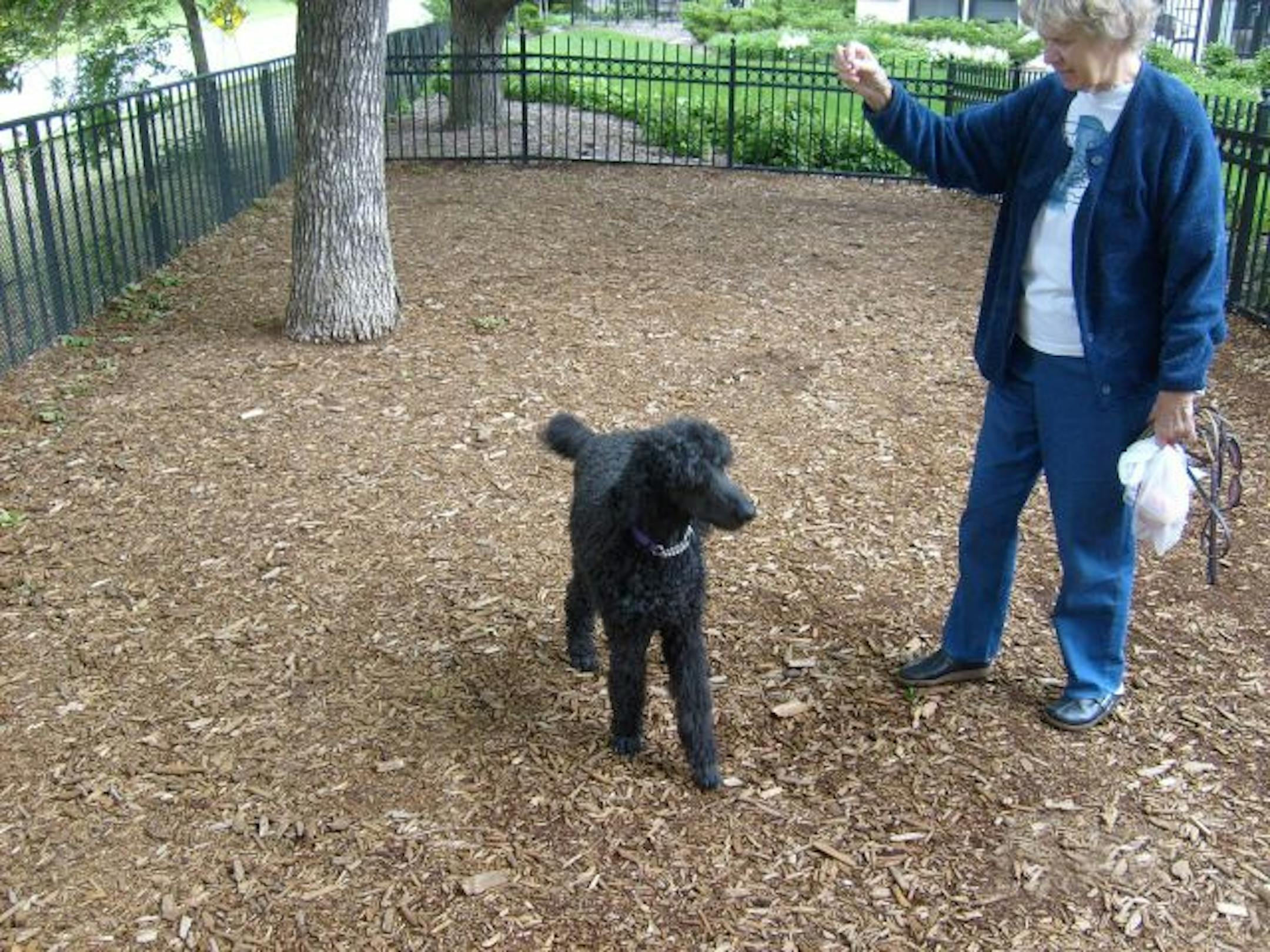 Pet owner Merle Kelly and her poodle Nikki in the dog run area at the Grant Park condo high-rise in Minneapolis. Photos provided by Grant Park.