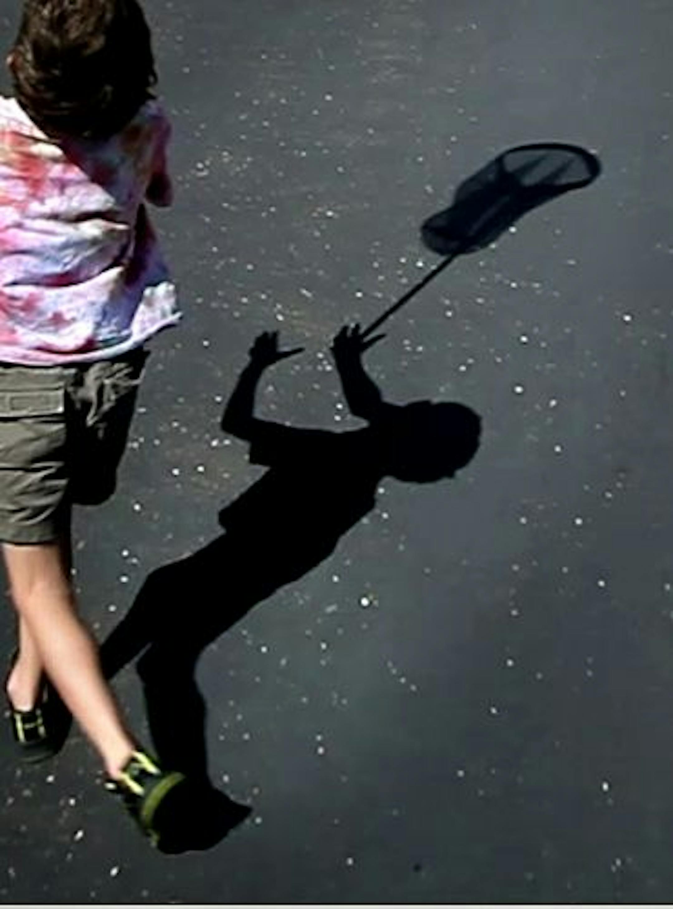 Alex Cima, 6, of Minneapolis chases a butterfly at the Eastman Nature Center.
