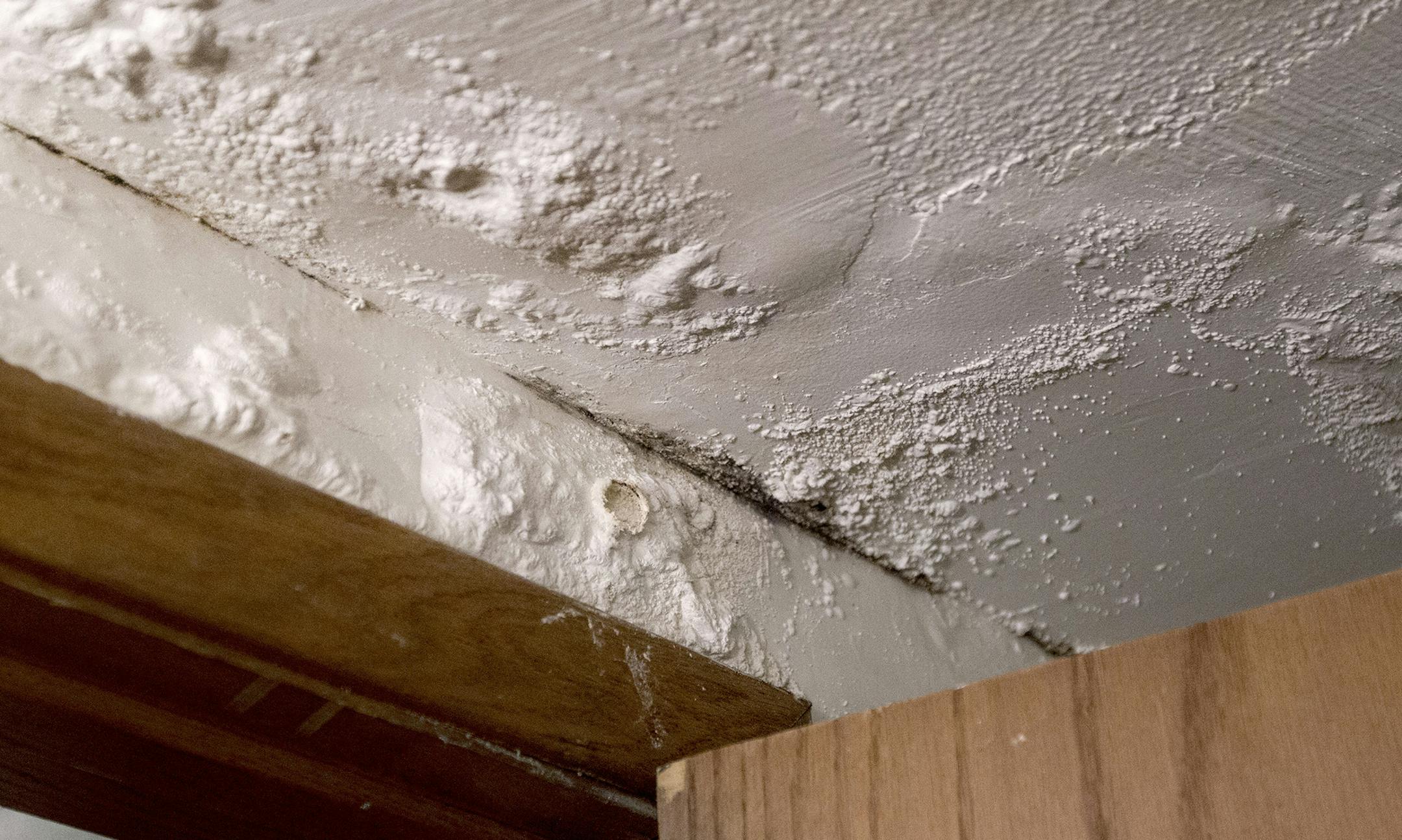 Ceiling mold is left over from a water leak that was never fully repaired in the building at 3141 22nd Avenue South in Minneapolis April 30, 2014. (Courtney Perry/Special to the Star Tribune)