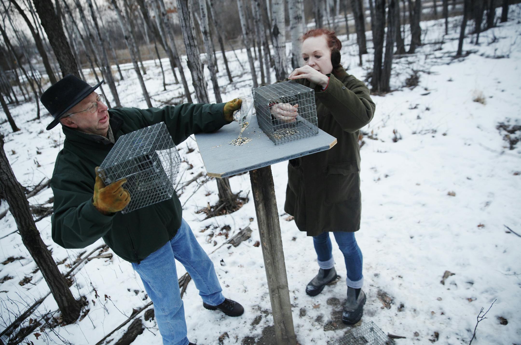 At Springbrook Nature Center where birders helped capture and band songbirds, Bird count coordinator Siah St. Clair and Amber Brunette. They ended up capturing 5 black capped chickadees .]Richard Tsong-Taatarii/ rtsong- taatarii@startribune.com