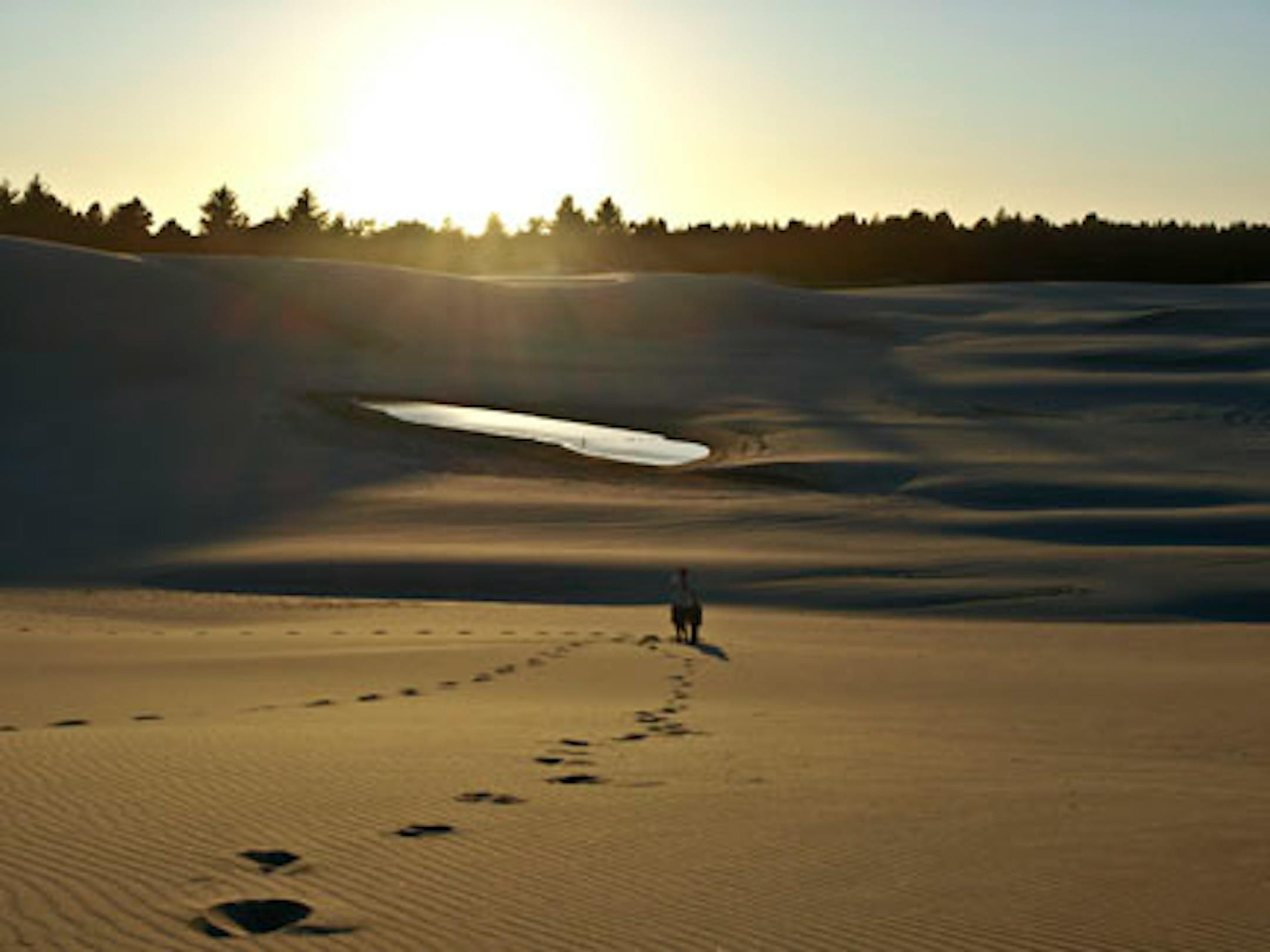 Oregon Sand Dunes go on for 50 miles along the coast and off of Highway 101